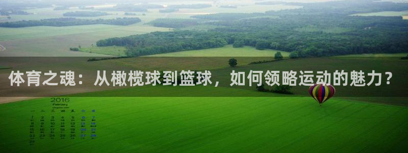 vsport体育官网下载娱乐:体育之魂:从橄榄球到篮球,如何