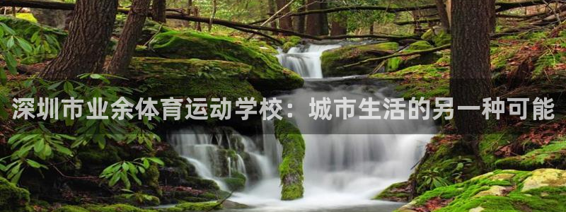 vsport体育官网下载平台是正规平台吗:深圳市业余体育运动