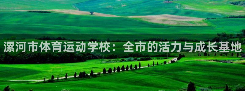 vsport体育官方正版app集团官网首页:漯河市体育运动学